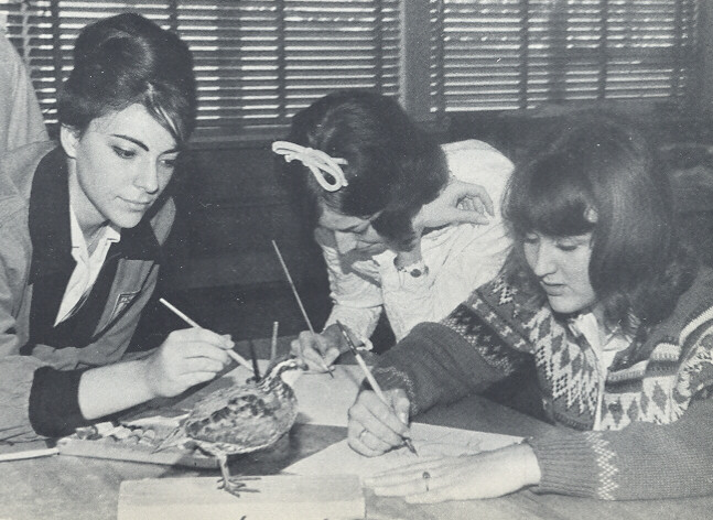 H02.JPG - H02.JPG H02.jpg